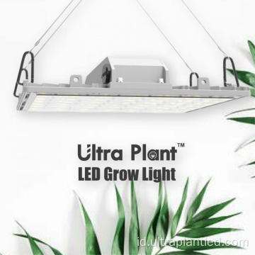 LED Dimmable Grow Light yang Dapat Diprogram